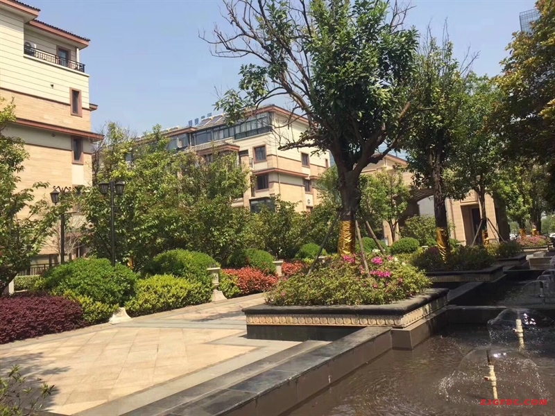 店长重点推荐！湖畔御园联排别墅315万6室2厅6卫毛坯，环境优雅