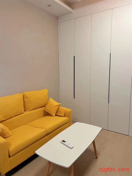 急租清水湾1666元1室1厅1卫精装修，家具家电齐全