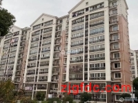 万达广场旁丽新花苑55.8万2室2厅1卫毛坯格局极好，看房随时