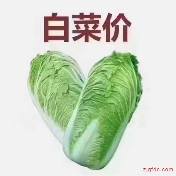 业主诚心出售，花园浜四村49.5万2室1厅1卫中装，急急急！