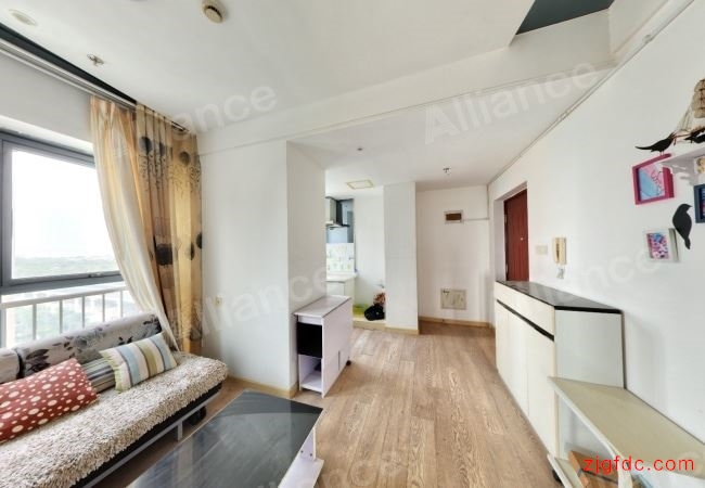 吾悦广场55平精装公寓，直接入住抄底价30万！